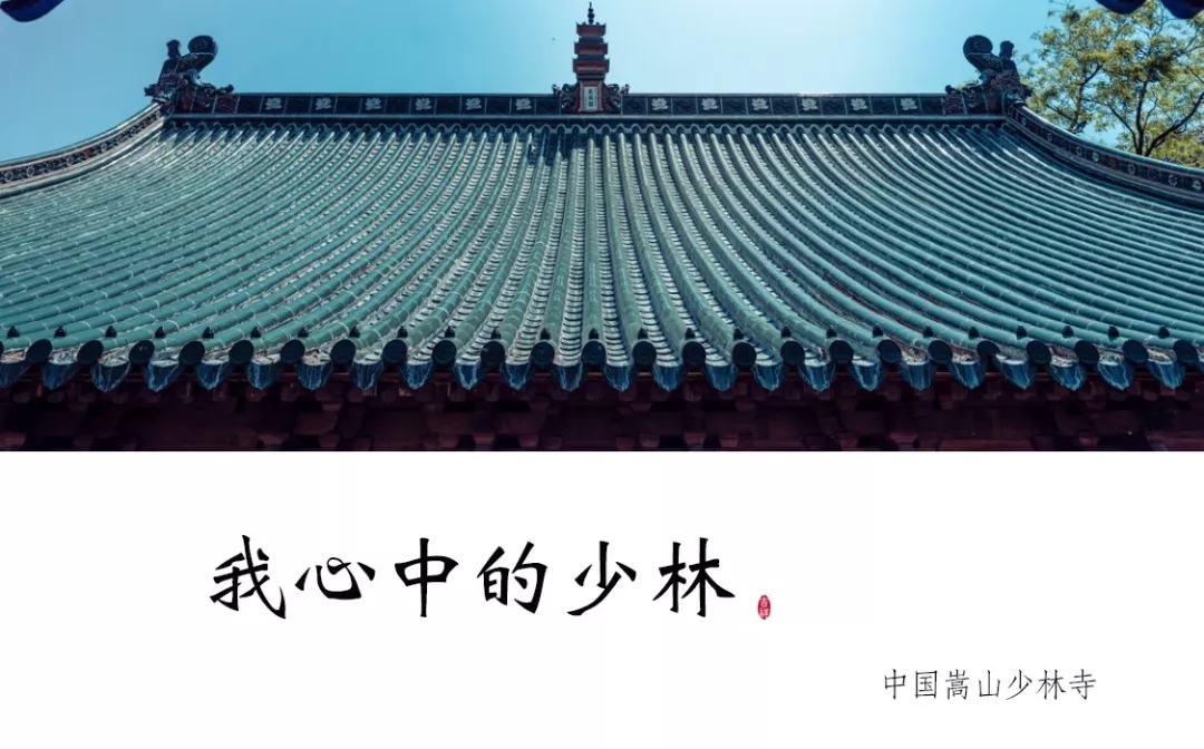 茗唐  結(jié)緣少林寺大方丈釋永信，一禪一茶，禪茶交融！